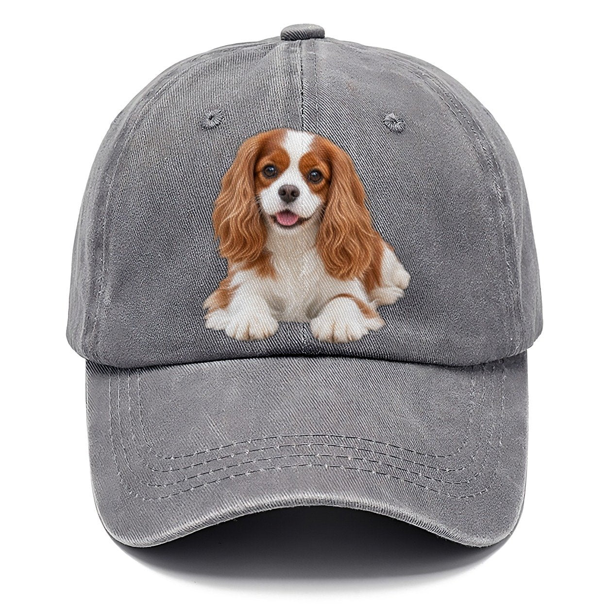 Cavalier King Charles Spaniel Lying Down Top Breeds Classic Cap – Urban Haze