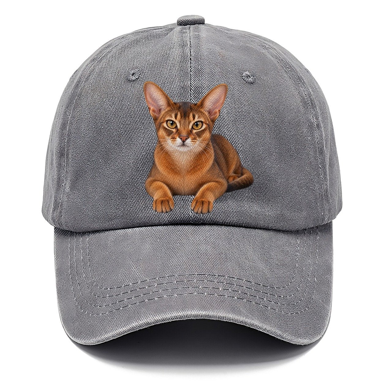 Abyssinian Reclining Paws Forward Realistic Cat Portrait Classic Cap – Urban Haze