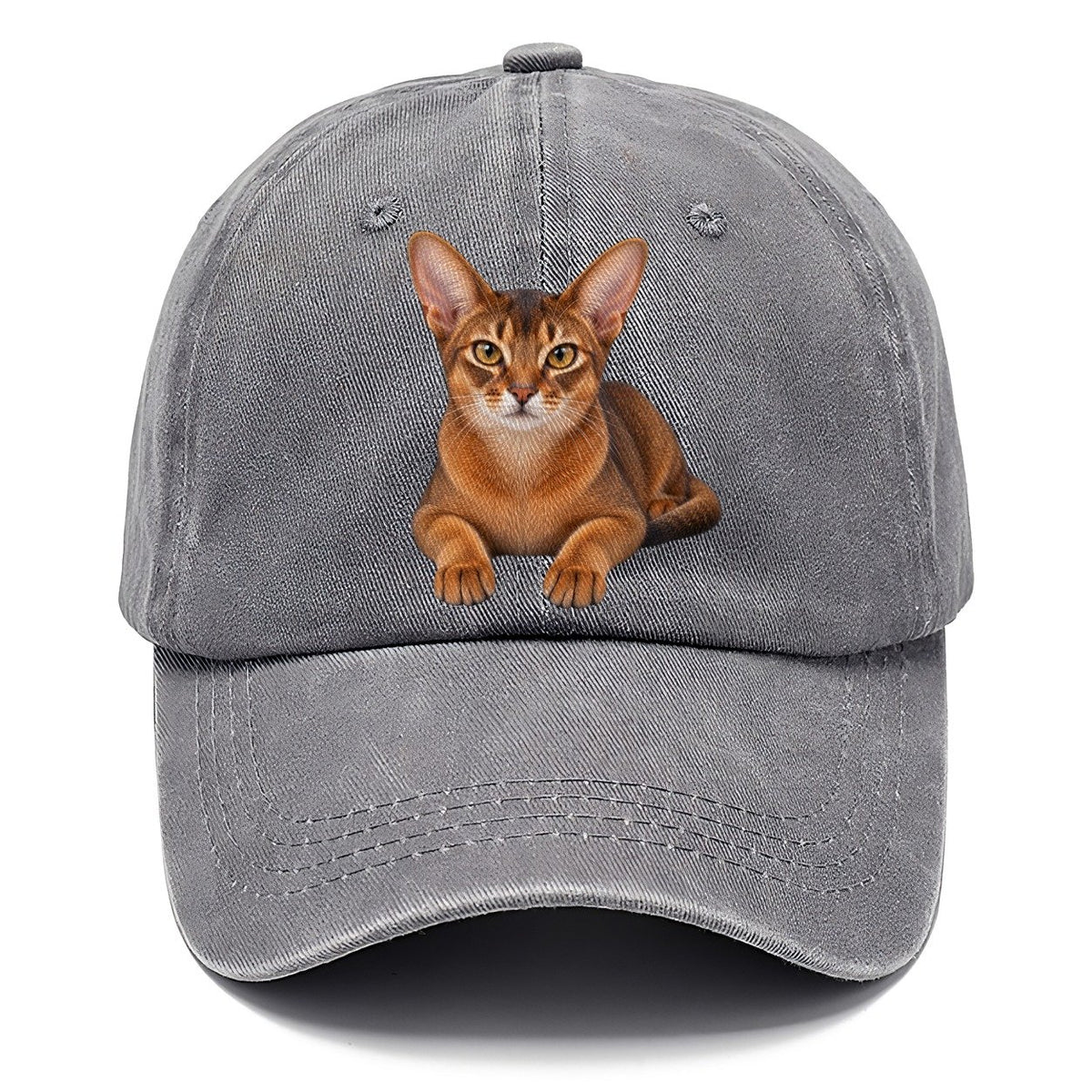 Abyssinian Reclining Paws Forward Realistic Cat Portrait Classic Cap – Urban Haze