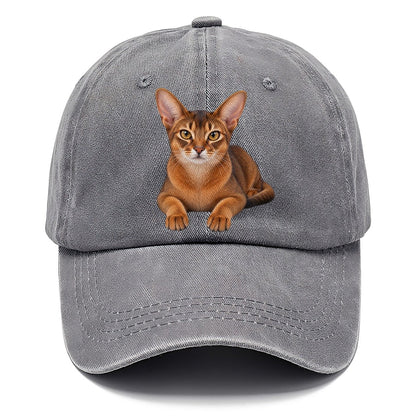 Abyssinian Reclining Paws Forward Realistic Cat Portrait Classic Cap – Urban Haze