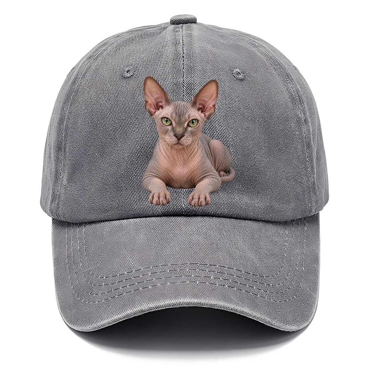 Sphynx Reclining Paws Forward Realistic Cat Portrait Classic Cap – Urban Haze