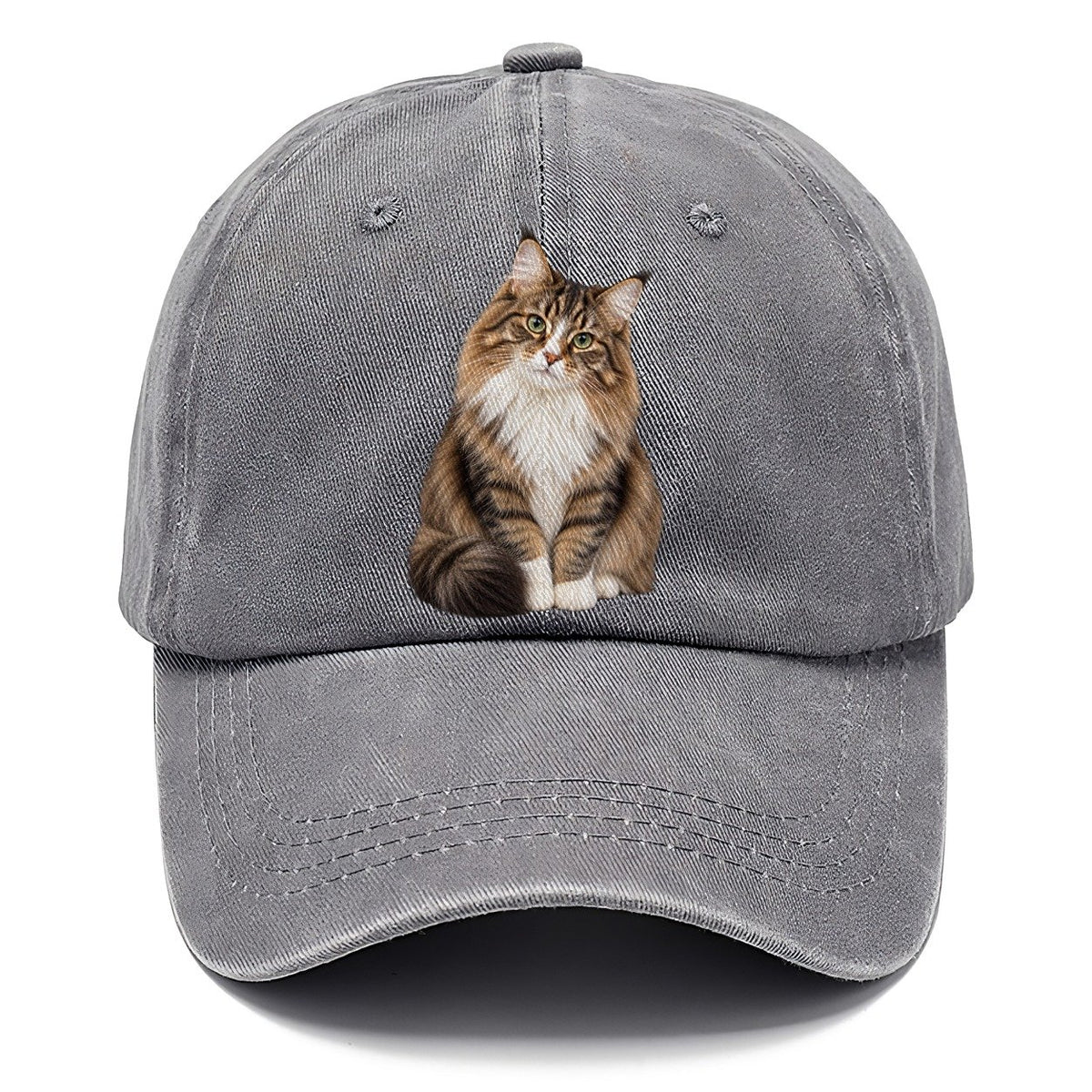 Norwegian Forest Cat Seated Portrait Realistic Cat Portrait Classic Cap – Urban Haze