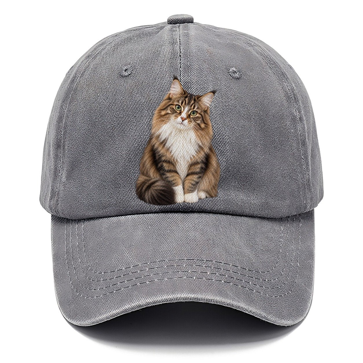 Norwegian Forest Cat Seated Portrait Realistic Cat Portrait Classic Cap – Urban Haze