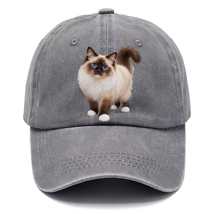 Birman Standing Three Quarter Realistic Cat Portrait Classic Cap – Urban Haze