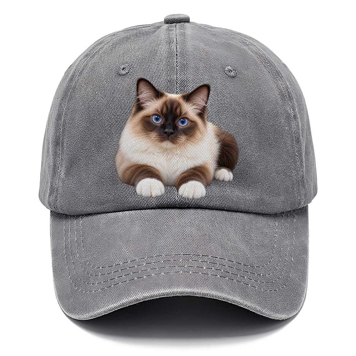 Birman Reclining Paws Forward Realistic Cat Portrait Classic Cap – Urban Haze