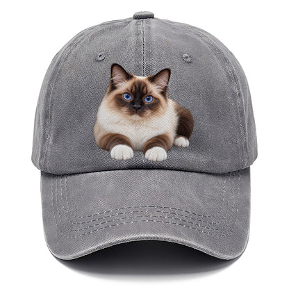 Birman Reclining Paws Forward Realistic Cat Portrait Classic Cap – Urban Haze