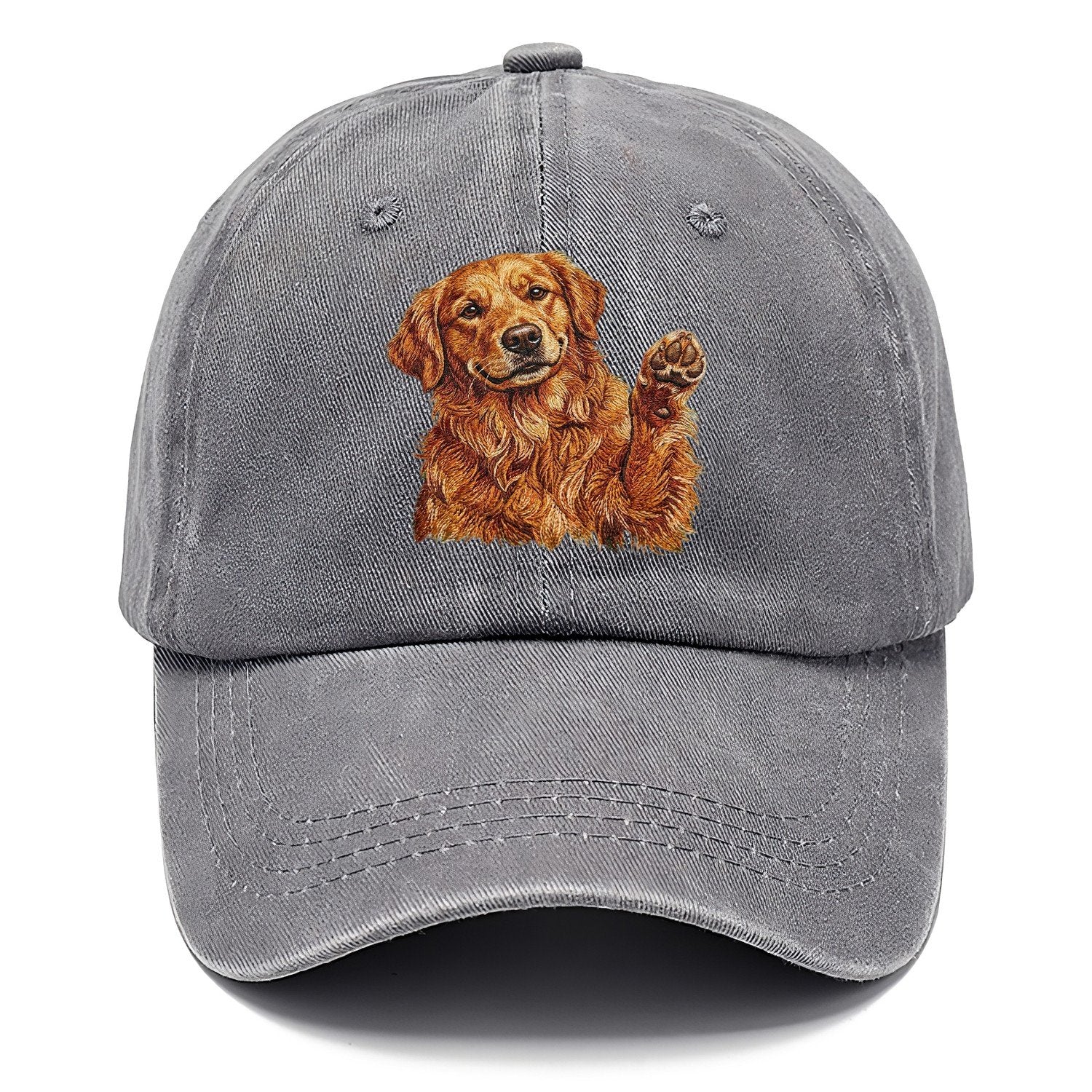 Golden Retriever Embroidered Classic Cap – Urban Haze