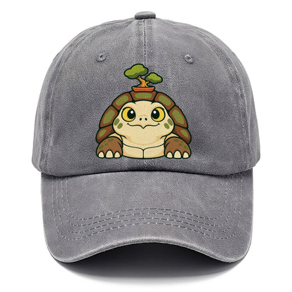 Bench Tortoise Bonsai Classic Cap – Urban Haze