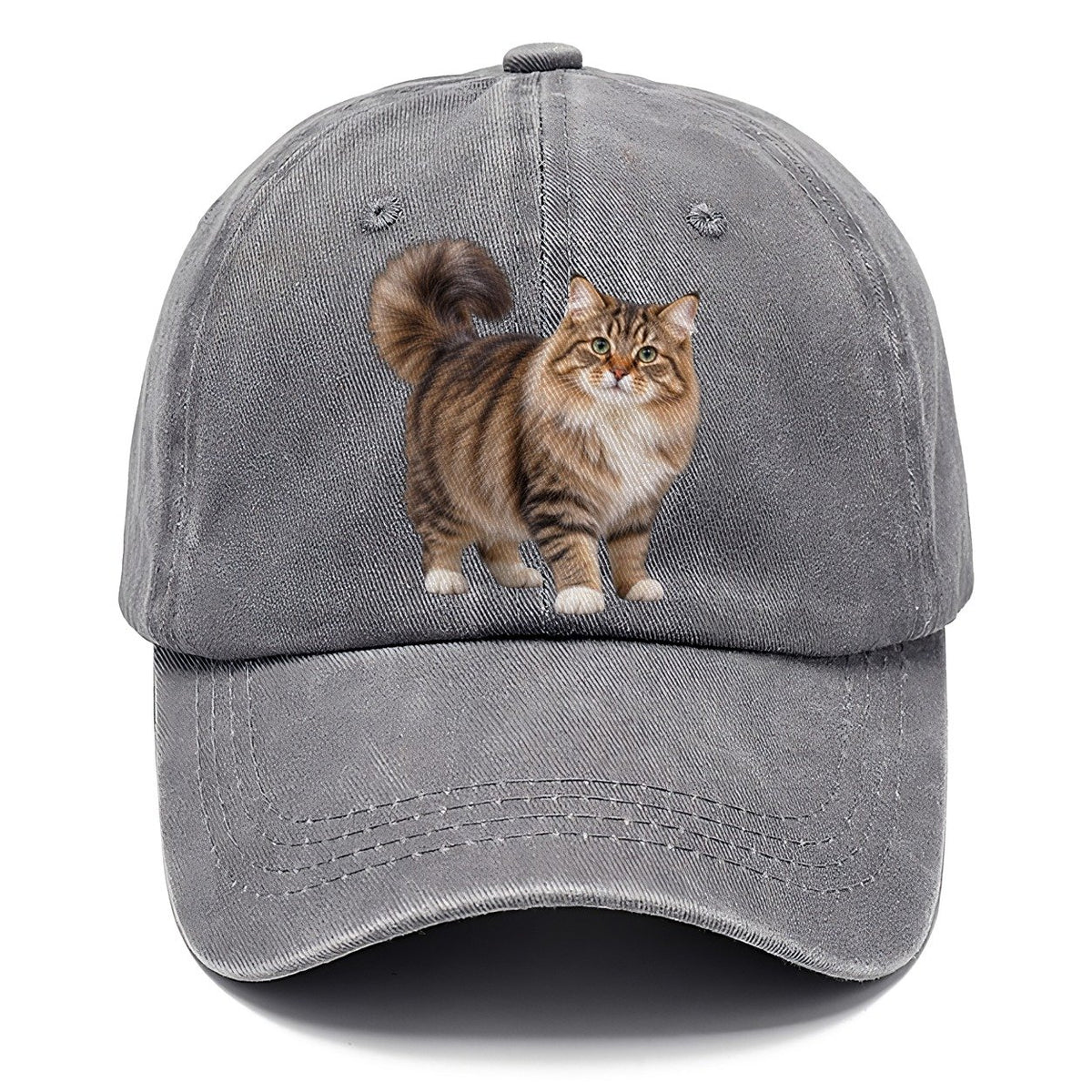 Siberian Standing Three Quarter Realistic Cat Portrait Classic Cap – Urban Haze