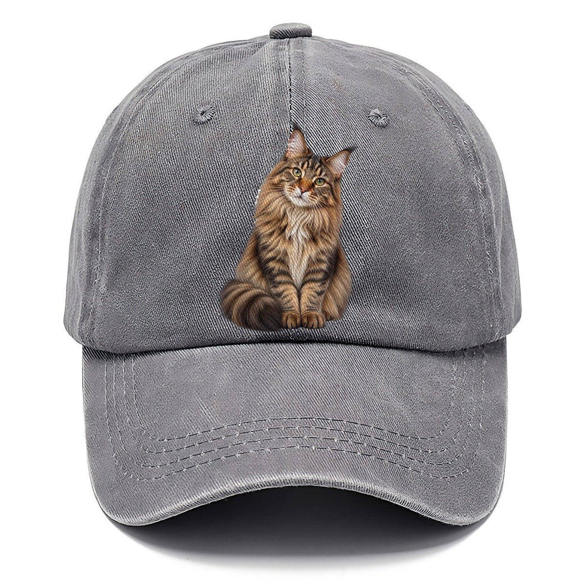 Maine Coon Seated Portrait Realistic Cat Portrait Classic Cap – Urban Haze