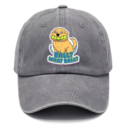 Ball What Ball Classic Cap – Urban Haze