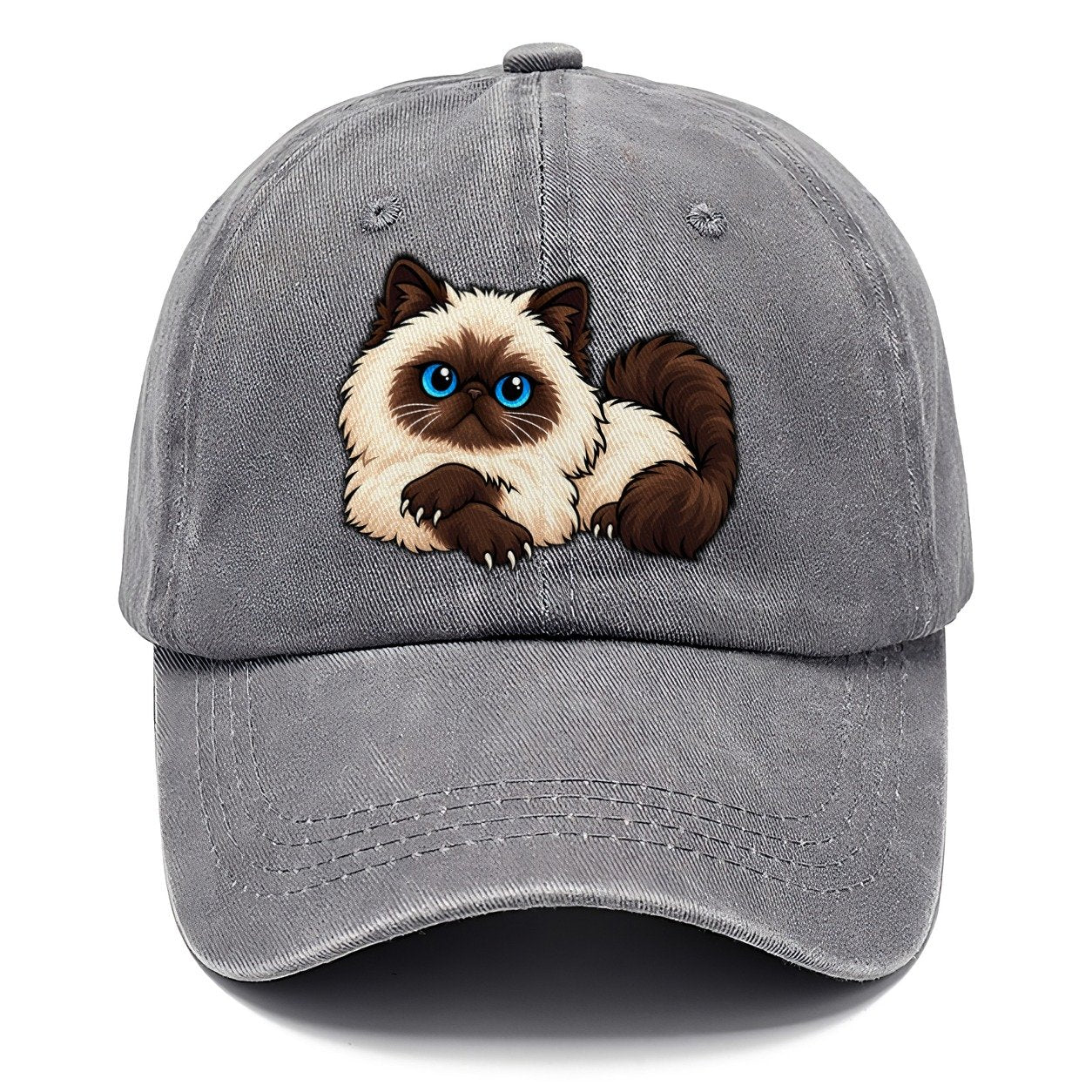Himalayan Lounging Peeking Cats Classic Cap – Urban Haze
