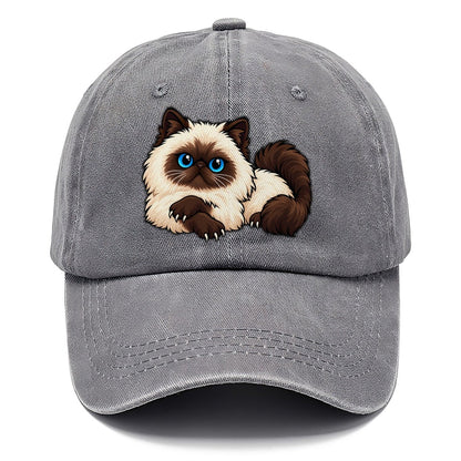 Himalayan Lounging Peeking Cats Classic Cap – Urban Haze
