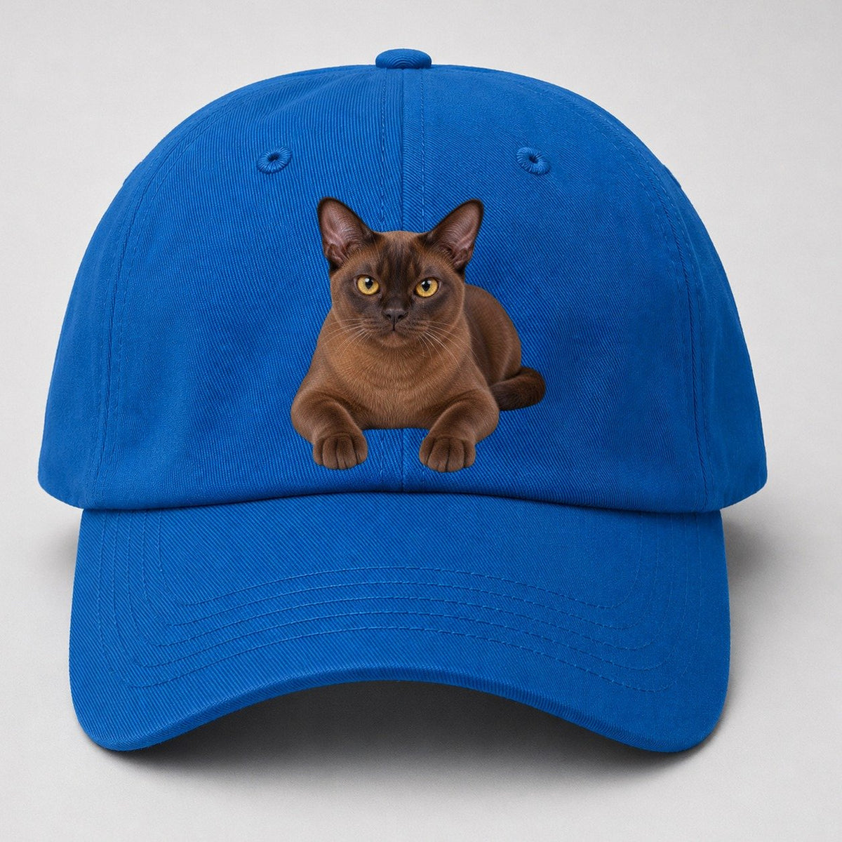 Burmese Reclining Paws Forward Realistic Cat Portrait Baseball Cap – Blue