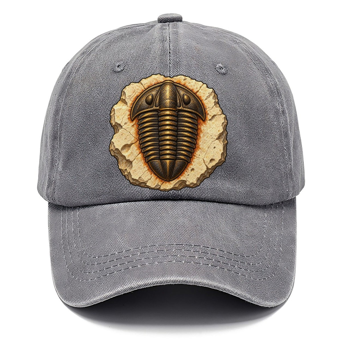 Trilobite In Limestone Rocks And Minerals Classic Cap – Urban Haze