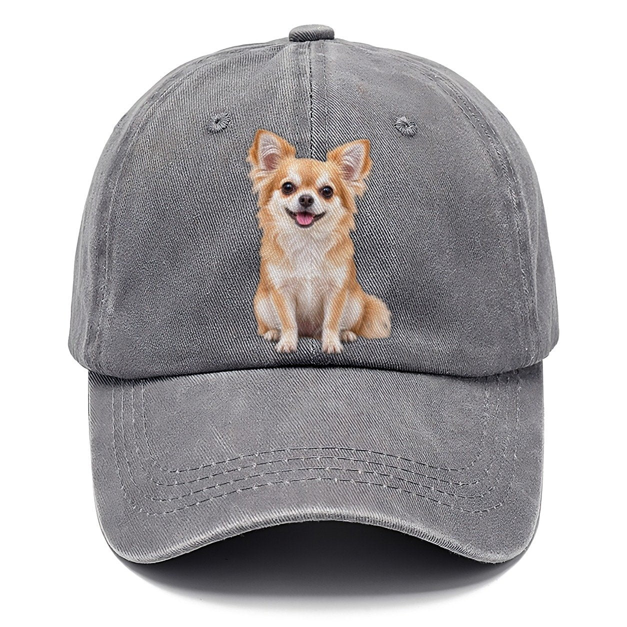 Chihuahua Sitting Top Breeds Classic Cap – Urban Haze