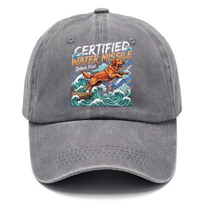 Certified Water Missile Classic Cap – Urban Haze