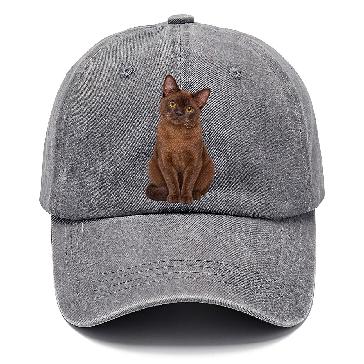 Burmese Seated Portrait Realistic Cat Portrait Classic Cap – Urban Haze