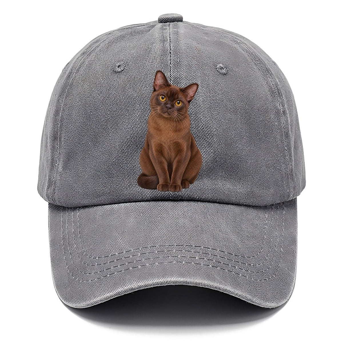 Burmese Seated Portrait Realistic Cat Portrait Classic Cap – Urban Haze