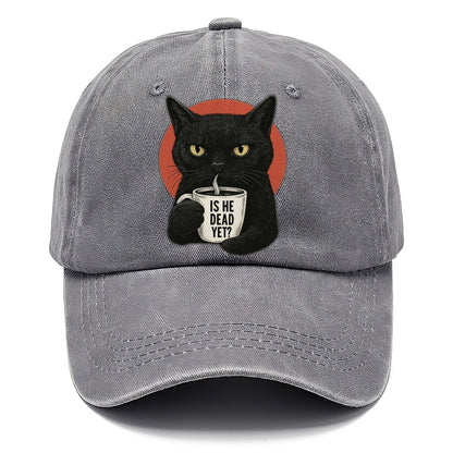 Is He Dead Yet Cat Classic Cap – Urban Haze