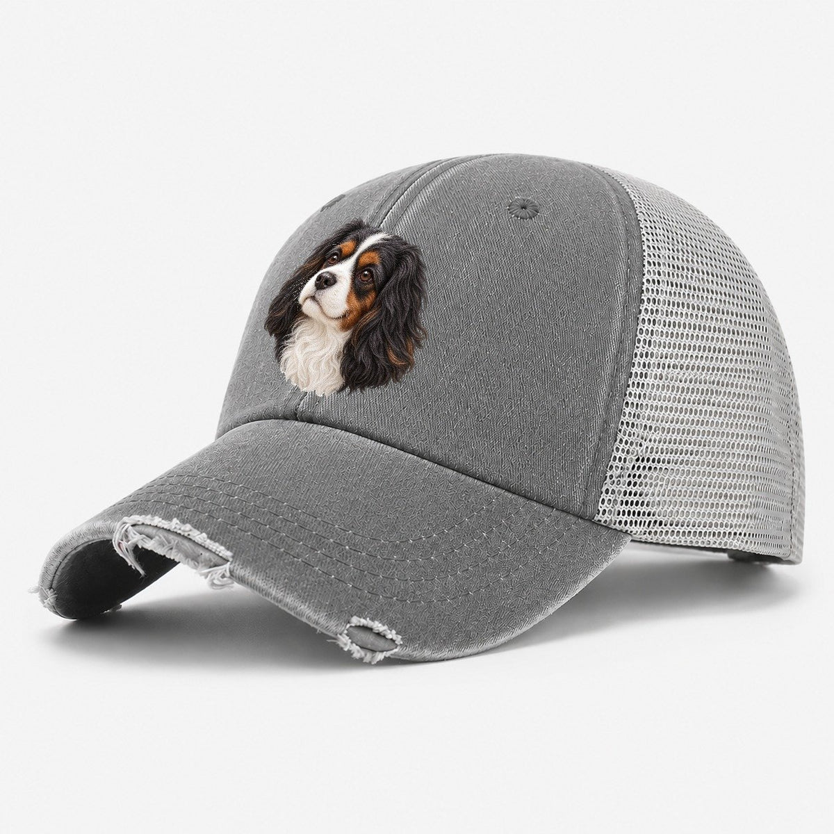 Cavalier Tricolour Smile Pastimes Companions Washed Trucker Hat – Grey