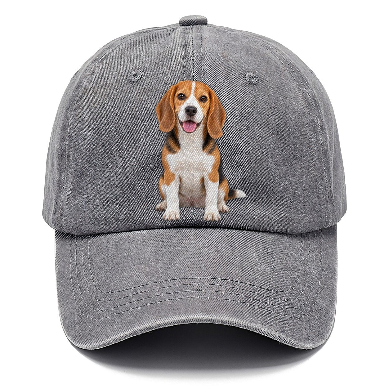Beagle Sitting Top Breeds Classic Cap – Urban Haze