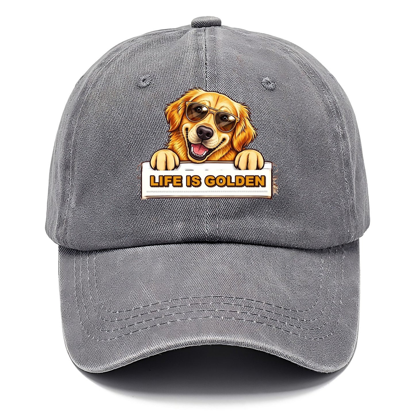 Life Is Golden Retriever Classic Cap – Urban Haze