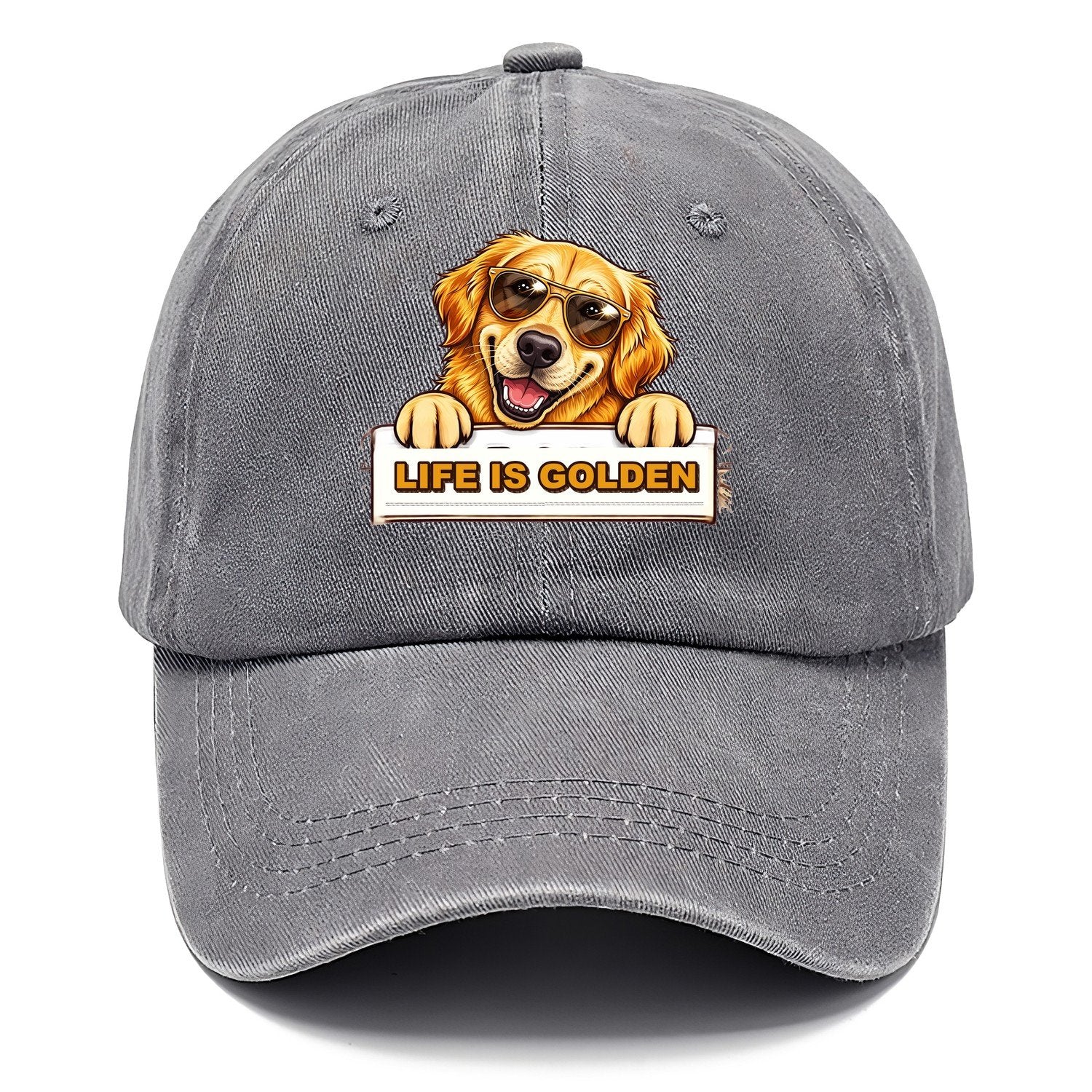 Life Is Golden Retriever Classic Cap – Urban Haze