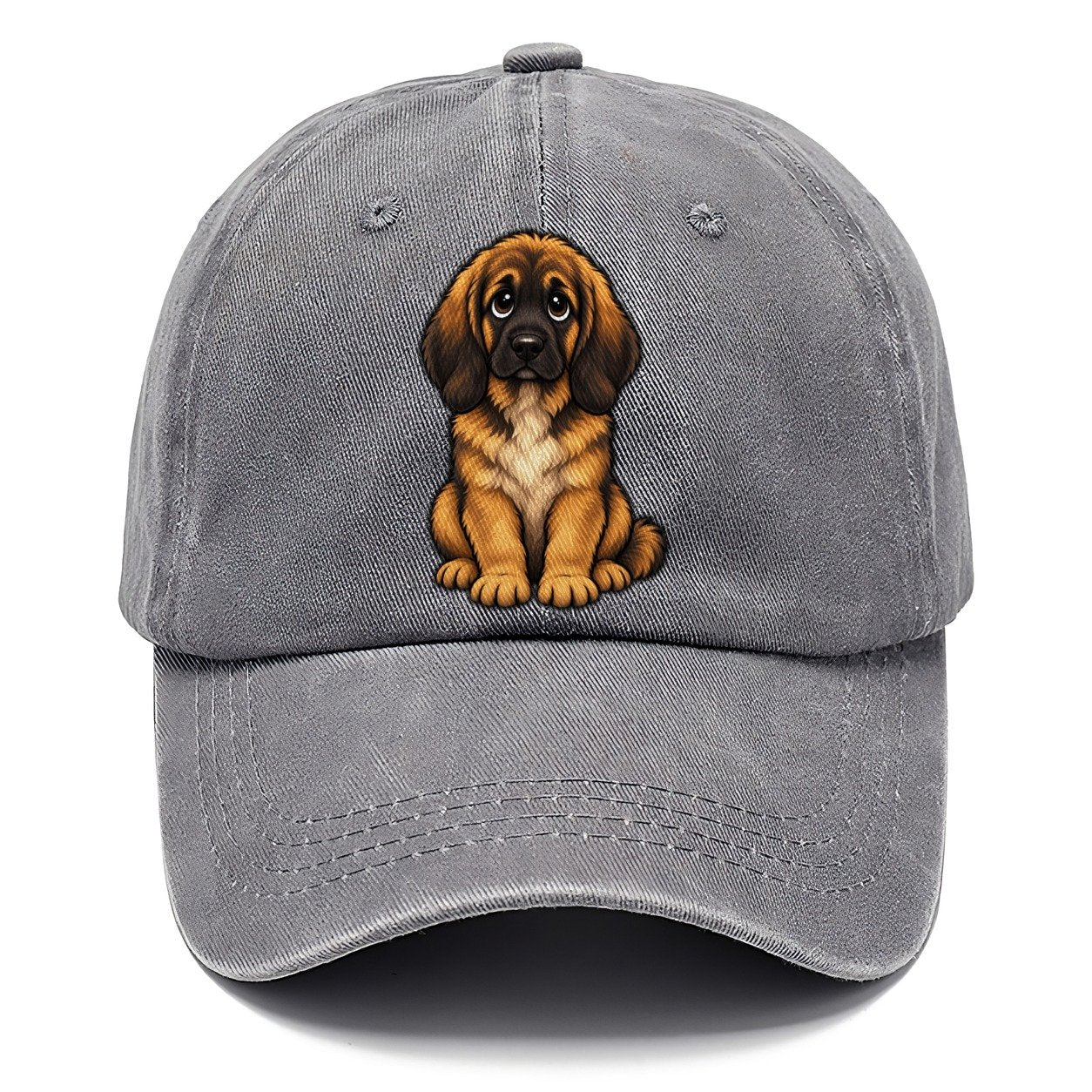 Leonberger Sitting Sweetheart Classic Cap – Urban Haze