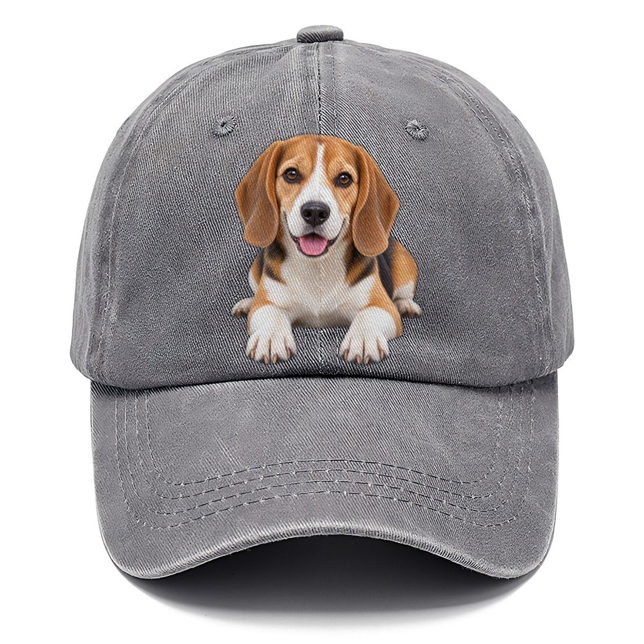 Beagle Lying Down Top Breeds Classic Cap – Urban Haze