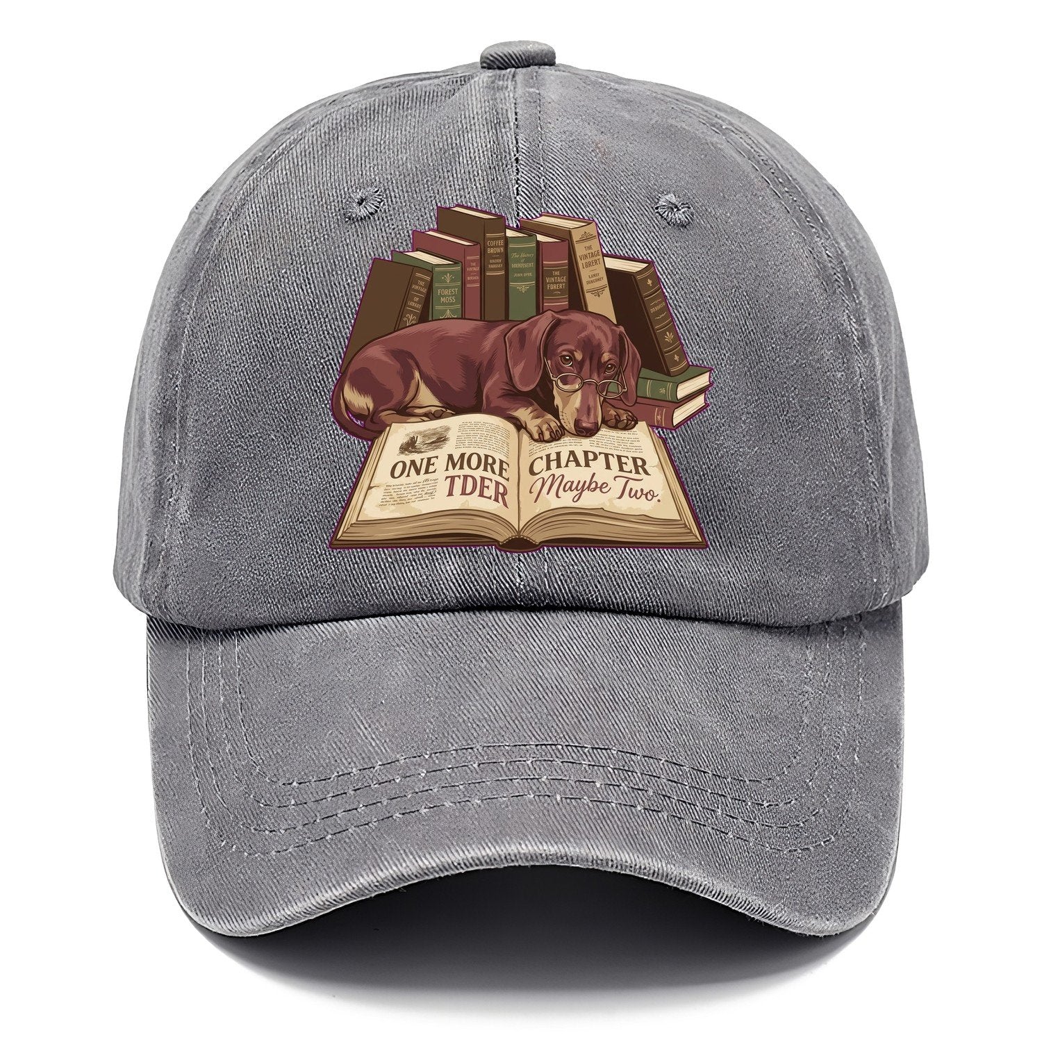 One More Chapter Maybe Two Classic Cap – Urban Haze