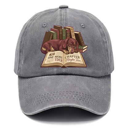One More Chapter Maybe Two Classic Cap – Urban Haze