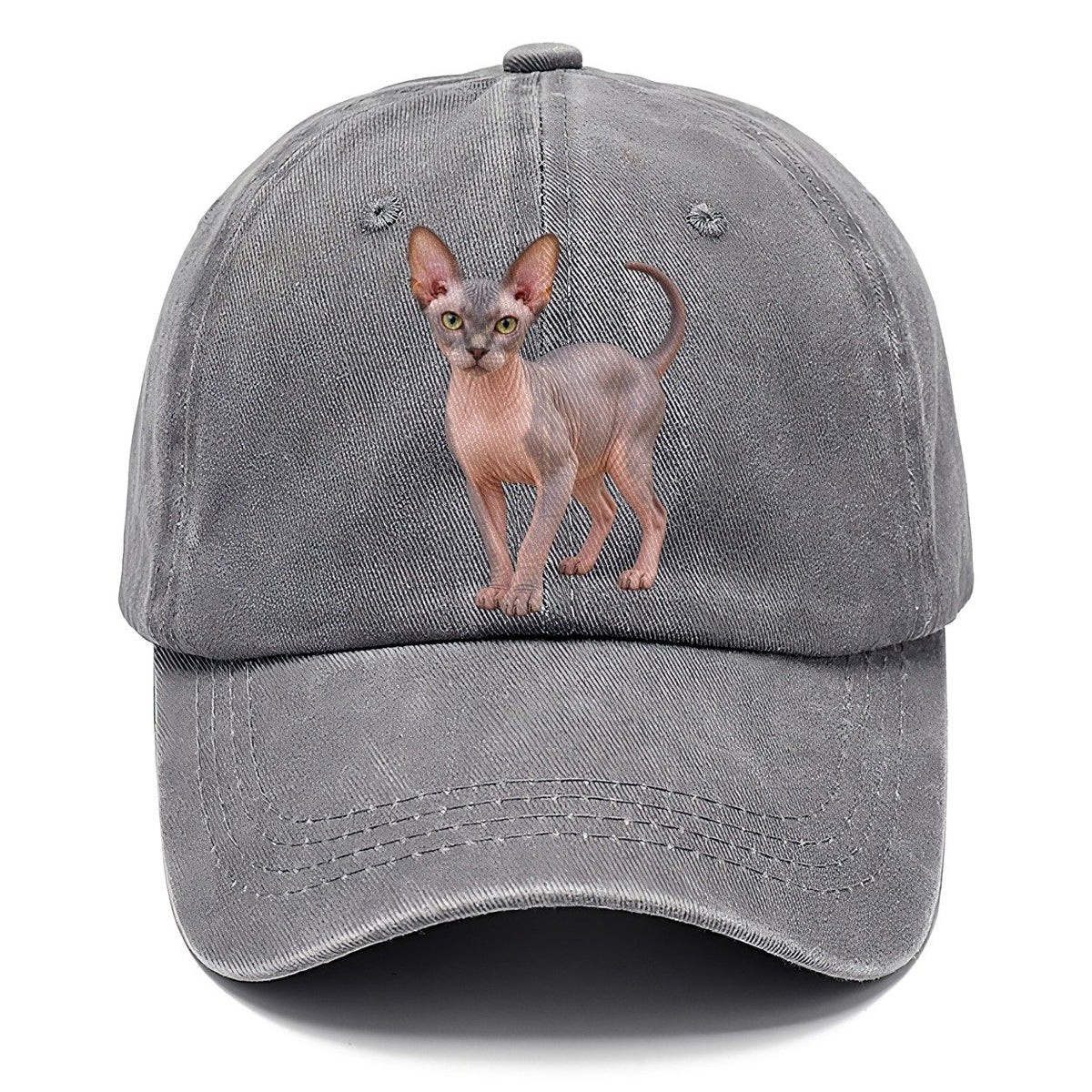 Sphynx Standing Three Quarter Realistic Cat Portrait Classic Cap – Urban Haze