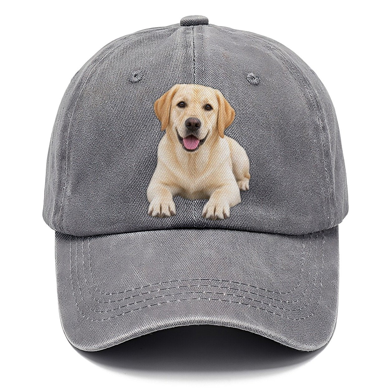 Labrador Retriever Lying Down Top Breeds Classic Cap – Urban Haze