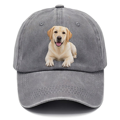 Labrador Retriever Lying Down Top Breeds Classic Cap – Urban Haze