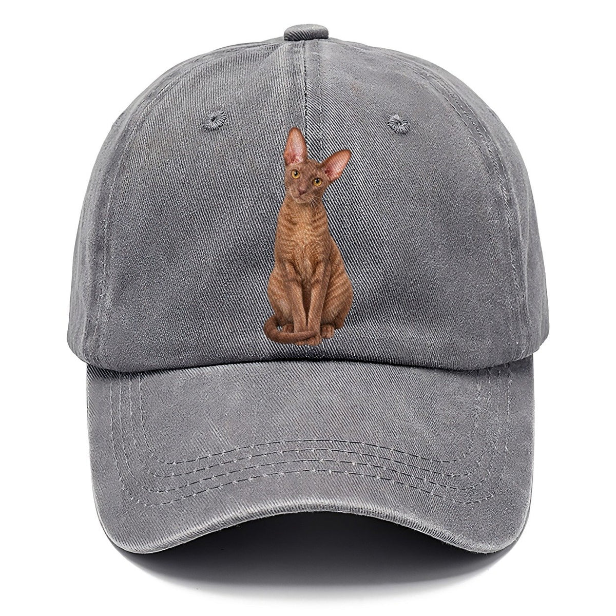 Cornish Rex Seated Portrait Realistic Cat Portrait Classic Cap – Urban Haze