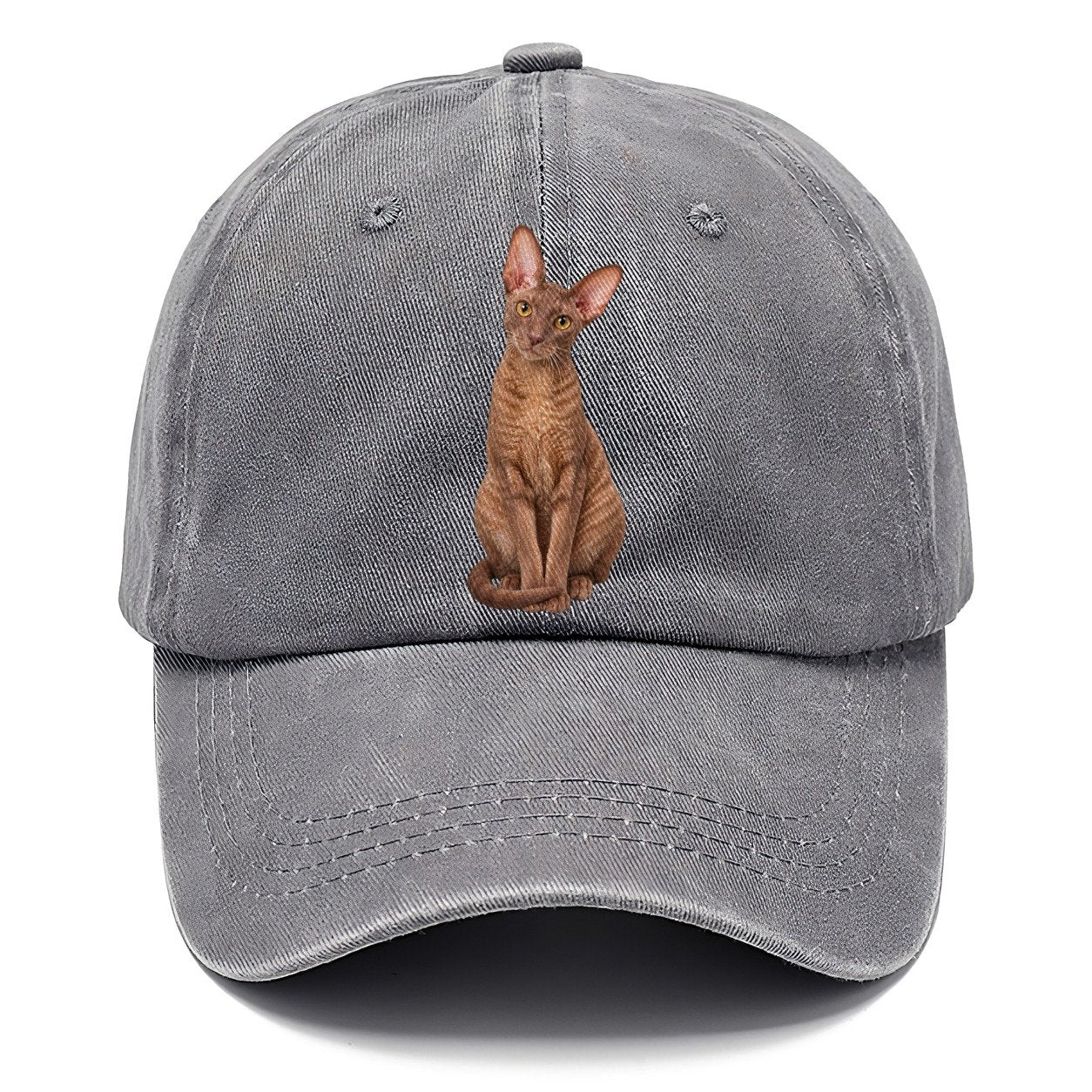 Cornish Rex Seated Portrait Realistic Cat Portrait Classic Cap – Urban Haze