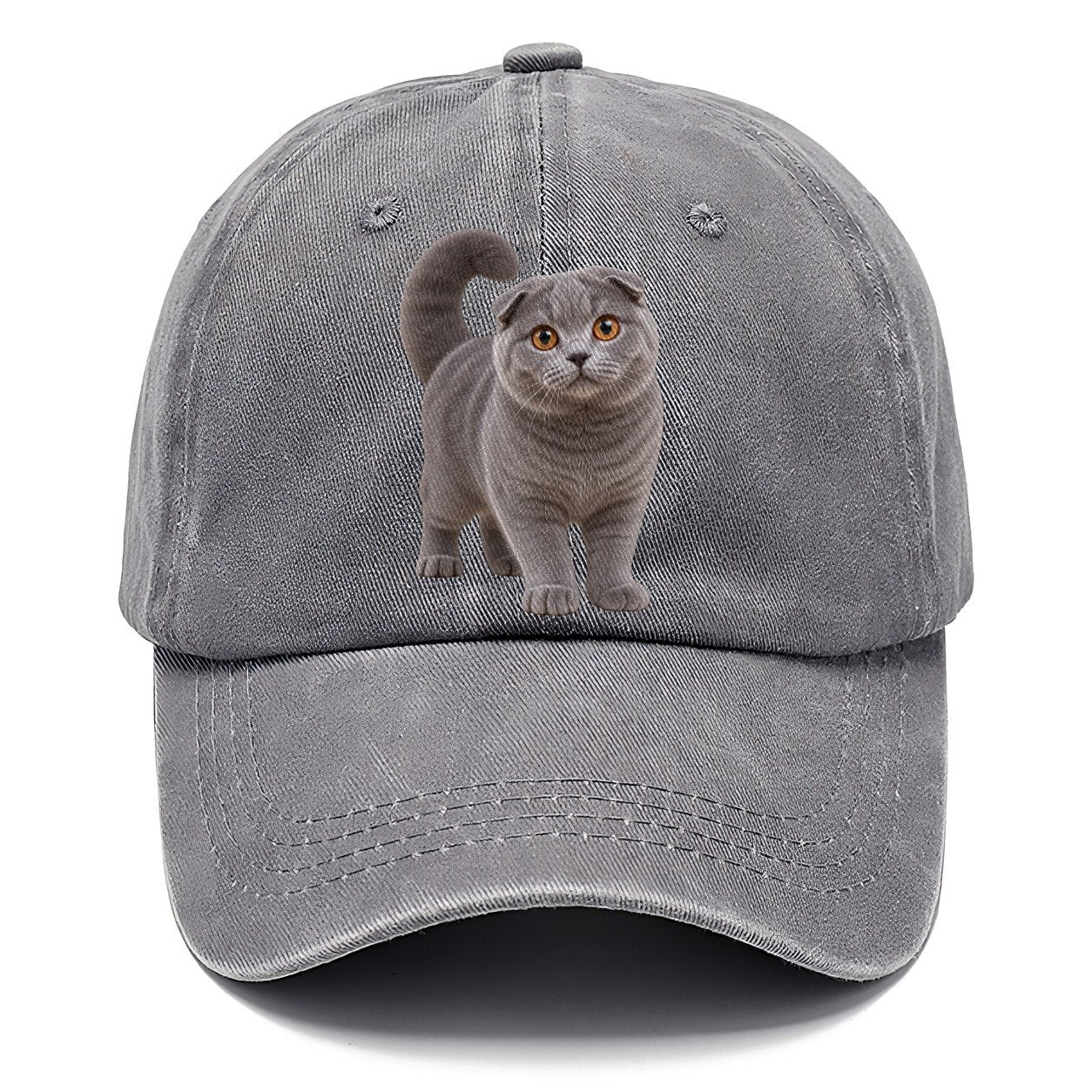 Scottish Fold Standing Three Quarter Realistic Cat Portrait Classic Cap – Urban Haze