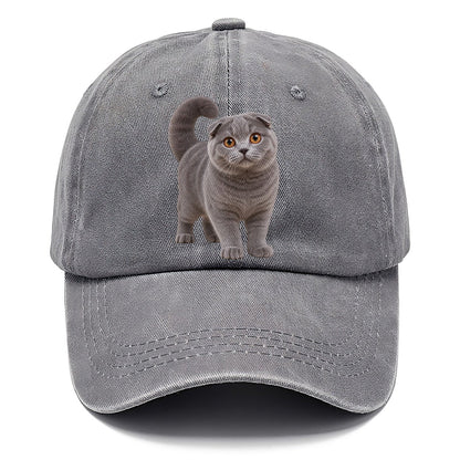 Scottish Fold Standing Three Quarter Realistic Cat Portrait Classic Cap – Urban Haze