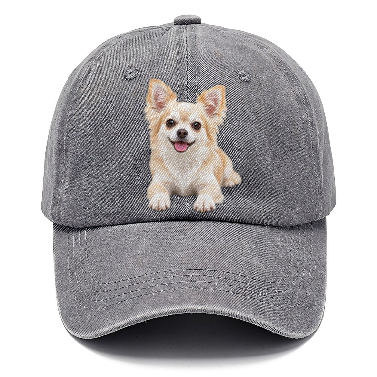 Chihuahua Lying Down Top Breeds Classic Cap – Urban Haze