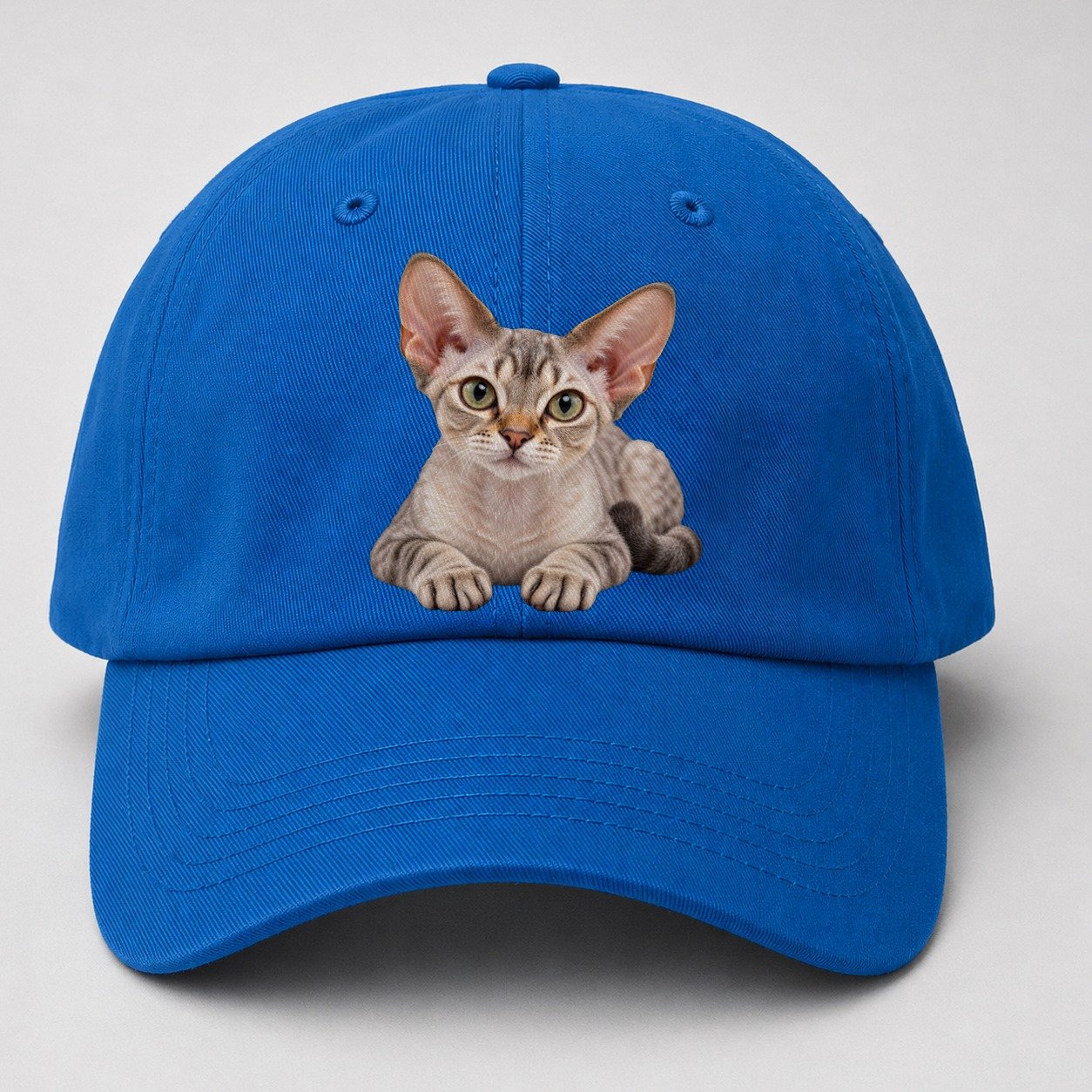 Devon Rex Reclining Paws Forward Realistic Cat Portrait Baseball Cap – Blue