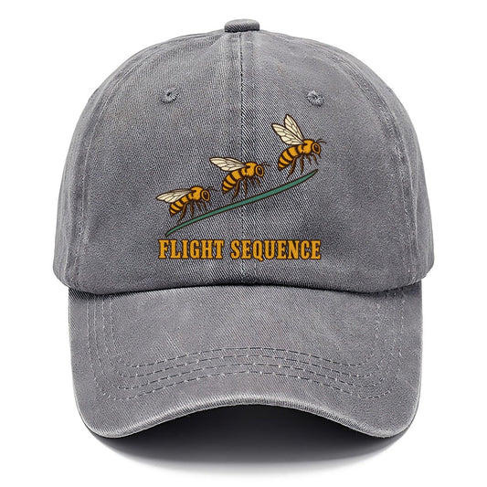 Bee Flight Sequence Beekeeping Classic Cap – Urban Haze