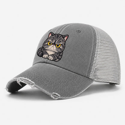 Exotic Shorthair Grumpy Sit Peeking Cats Washed Trucker Hat – Grey