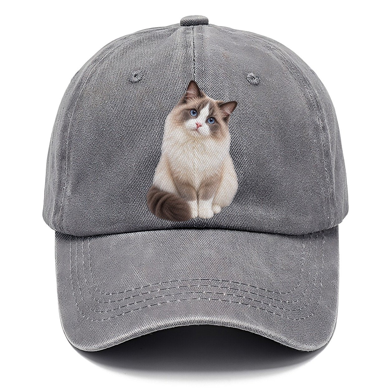 Ragdoll Seated Portrait Realistic Cat Portrait Classic Cap – Urban Haze