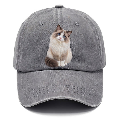 Ragdoll Seated Portrait Realistic Cat Portrait Classic Cap – Urban Haze