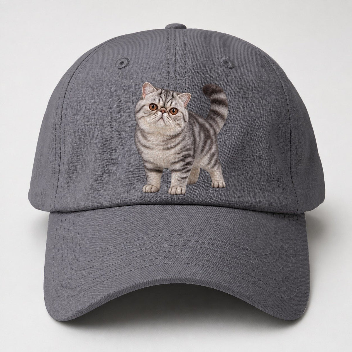 Exotic Shorthair Standing Three Quarter Realistic Cat Portrait Baseball Cap – Grey