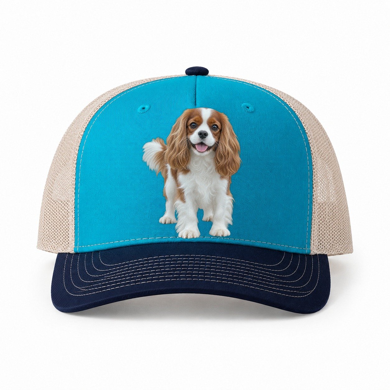 Teal-Navy — front view