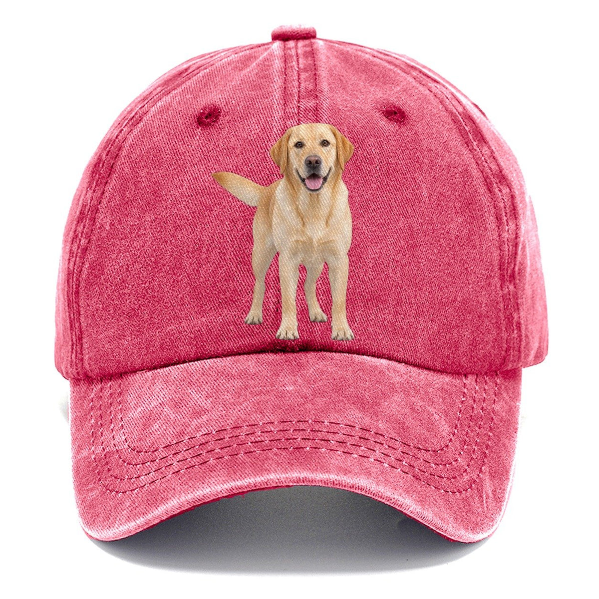 Labrador Retriever Standing Top Breeds Classic Cap – Pomegranate Blush