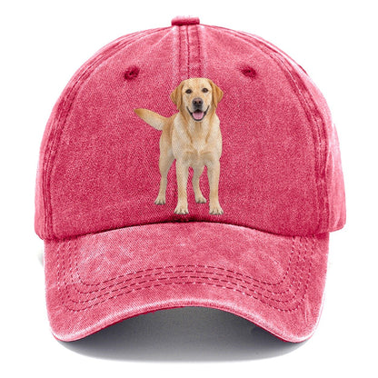Labrador Retriever Standing Top Breeds Classic Cap – Pomegranate Blush