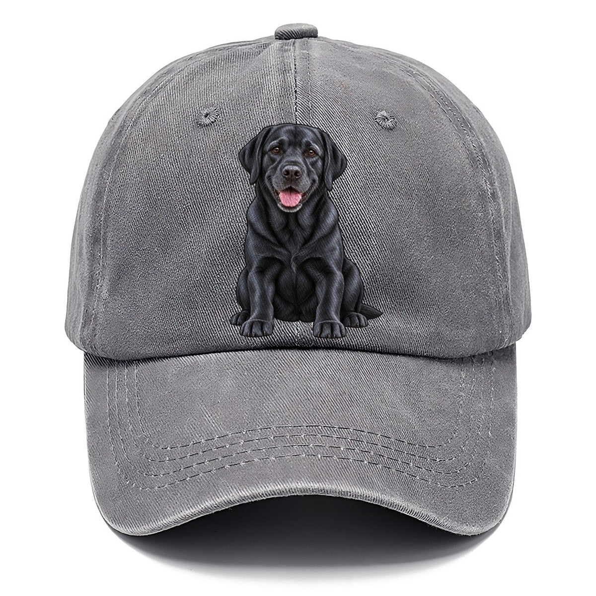 Black Labrador Sitting Classic Cap – Urban Haze